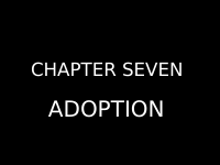 Family law Chapter seven.pptx